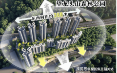 当前项目推出限时98折